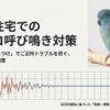 インコがうるさい時の対処法！防音と無視のしつけで解決