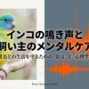 インコがうるさい！イライラやノイローゼを防ぐ防音対策