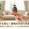 インコ用爪切りの方法とおすすめの選び方！実施頻度や出血時の対処法も解説