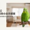 【保存版】運命の出会いを現実に。インコをお迎えする手順と初期費用・準備のすべて