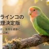 コザクラインコの適温は何度？夏冬の対策とエアコン設定の正解