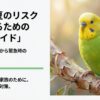 【保存版】セキセイインコの夏の適温ガイド！エアコン・湿度・夜の管理まで網羅