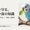 セキセイインコに果物や野菜はOK？食べていいものダメなものをまとめました