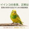 【決定版】セキセイインコの餌おすすめ！シードとペレットの正解