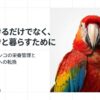 -大型インコ-中型-インコ-餌-シード-ペレット-おすすめ-1.jpg