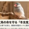 文鳥のヒーターとケージのおすすめ！最強セットと選び方を紹介