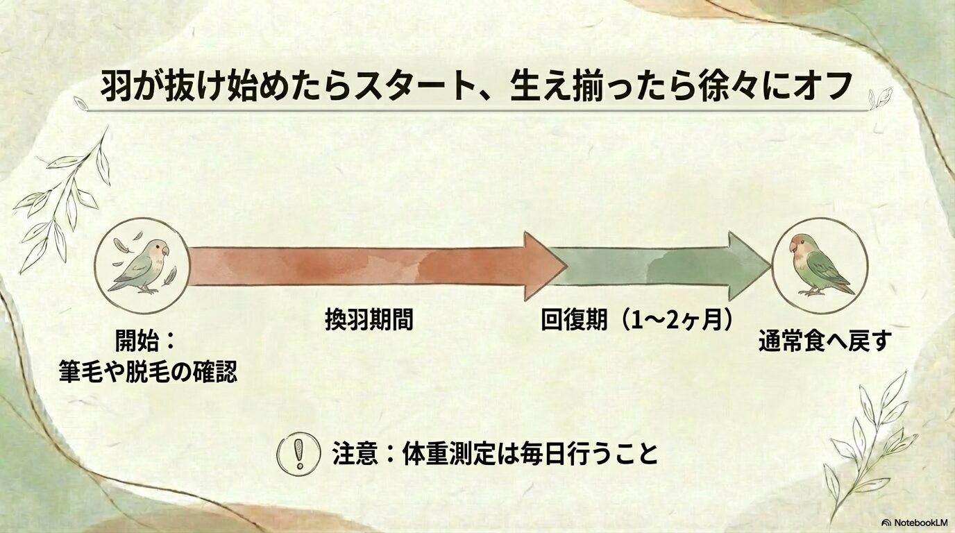 餌の量と切り替えタイミング