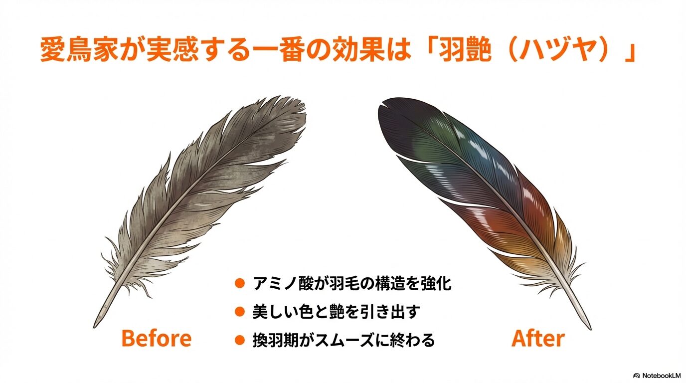 口コミで判明！ネクトンSの効果と副作用、種類の真実