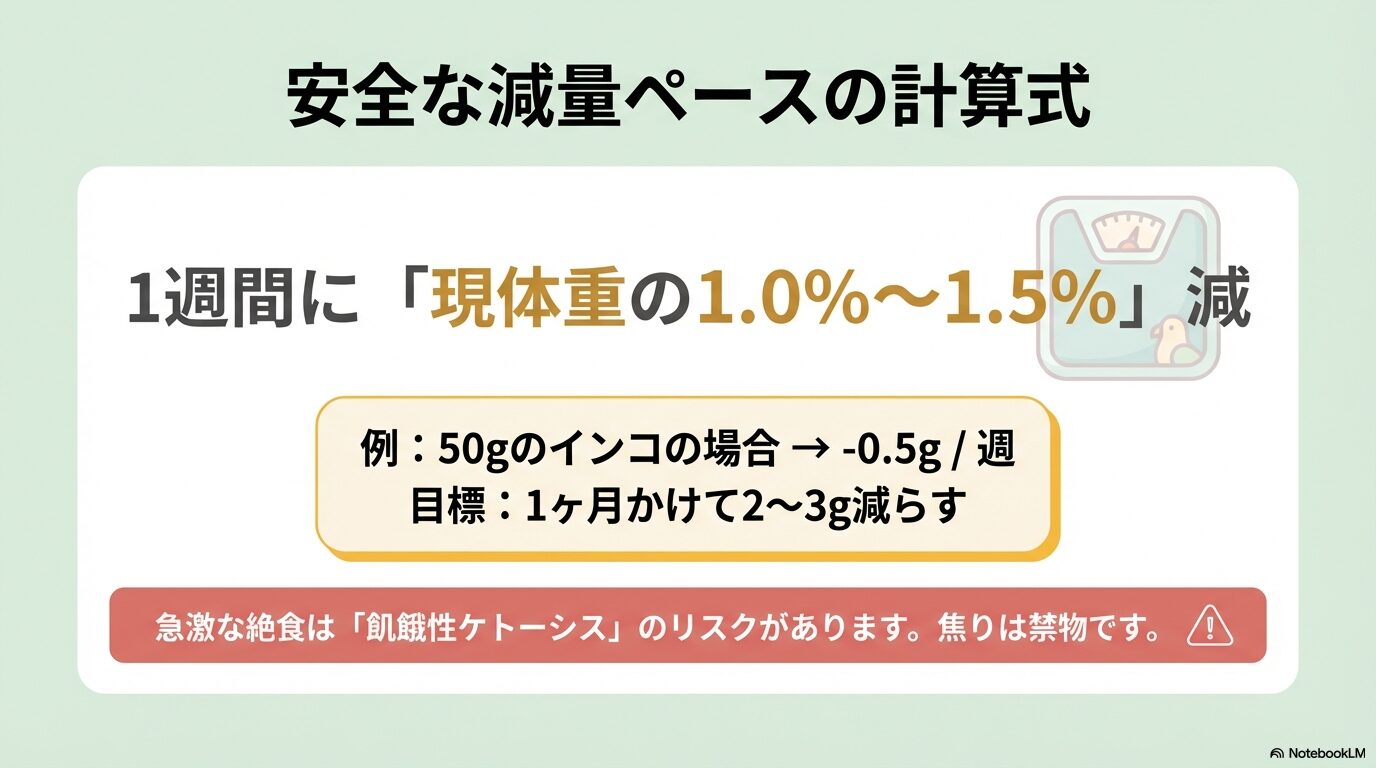 安全な減量ペースを守ろう