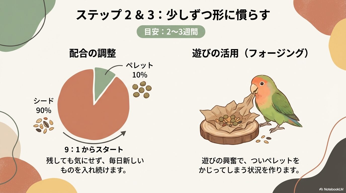 Step 2:混合比率を少しずつ変える(2週間〜1ヶ月)
