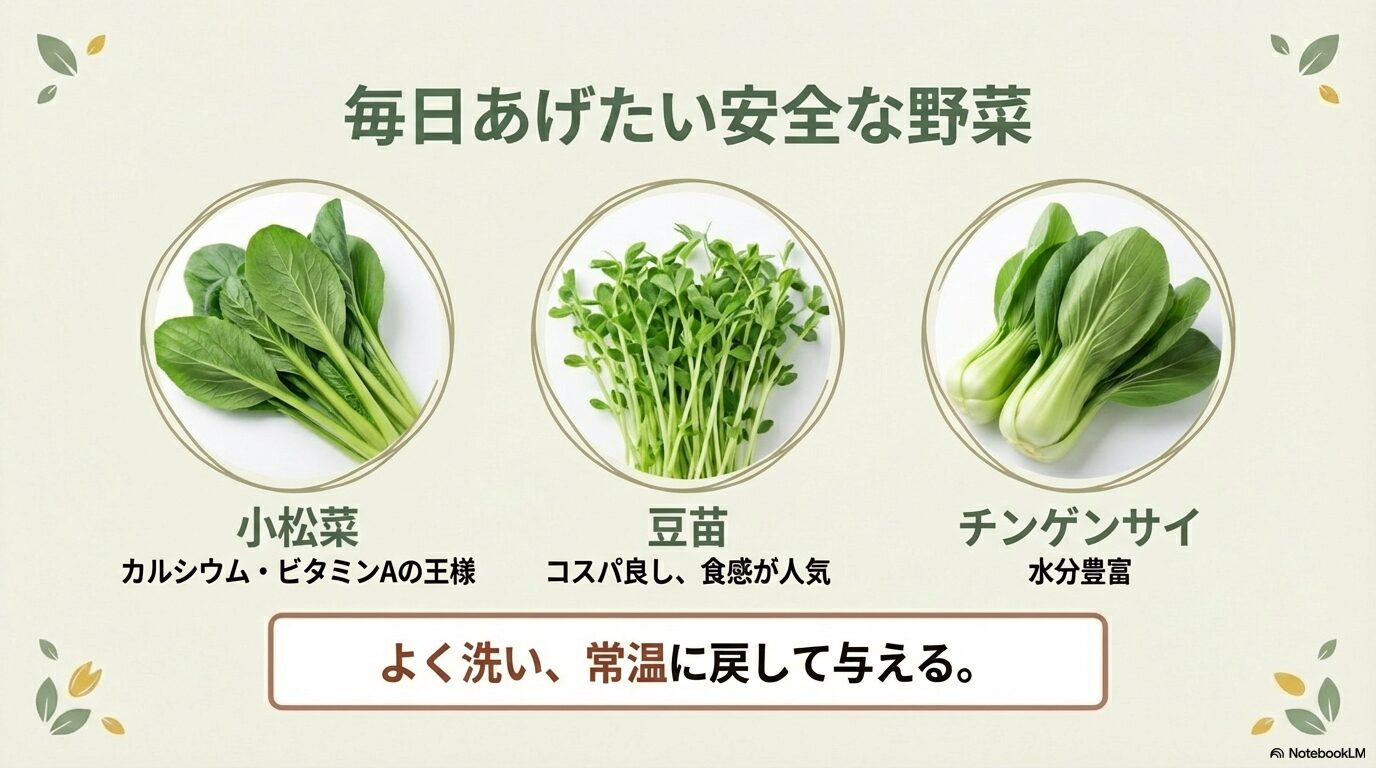 毎日与えたいおすすめの野菜リスト