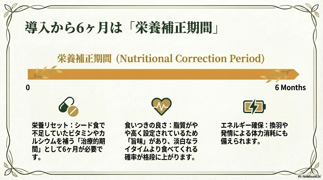 導入期にハイポテンシーを選ぶべき3つの理由
