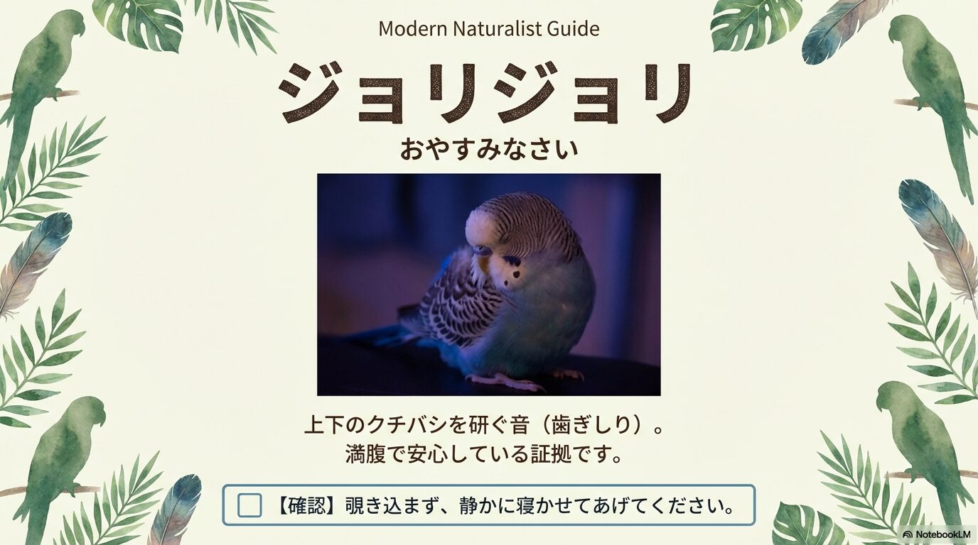 セキセイインコの鳴き声の種類別対処ガイド