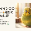 セキセイインコ　ヒータ-