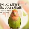 コザクラインコの鳴き声はうるさい？おしゃべり事情と必要な防音対策