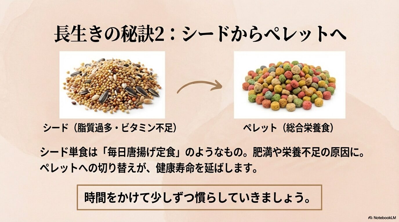 インコを長生きさせる食事と栄養管理