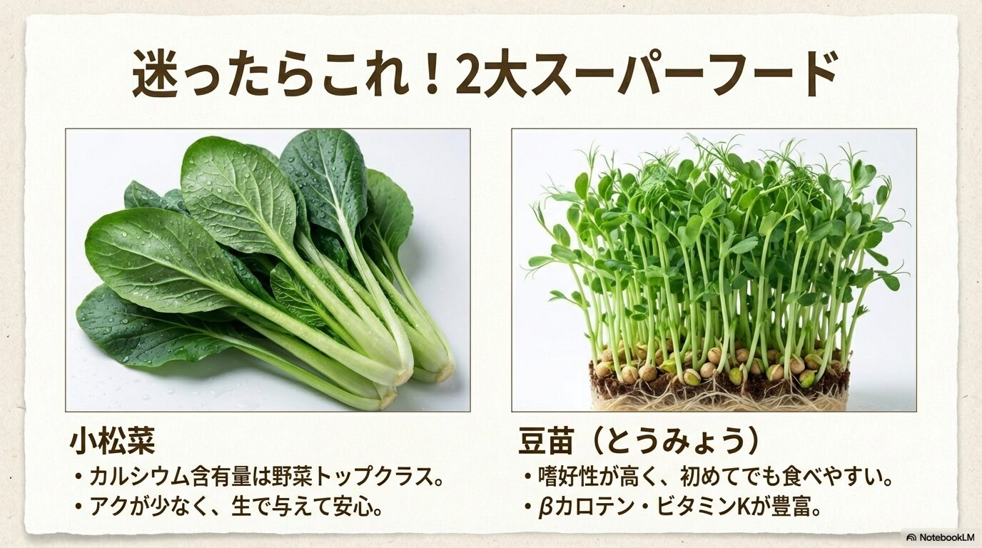 オカメインコにおすすめの野菜や果物と正しい与え方