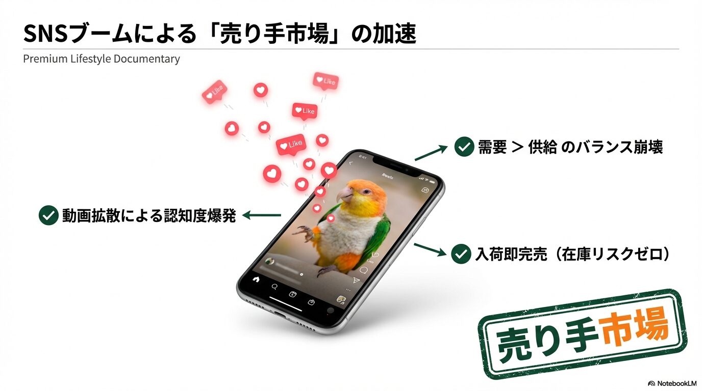 30万超えでも売り切れ続出の市場背景