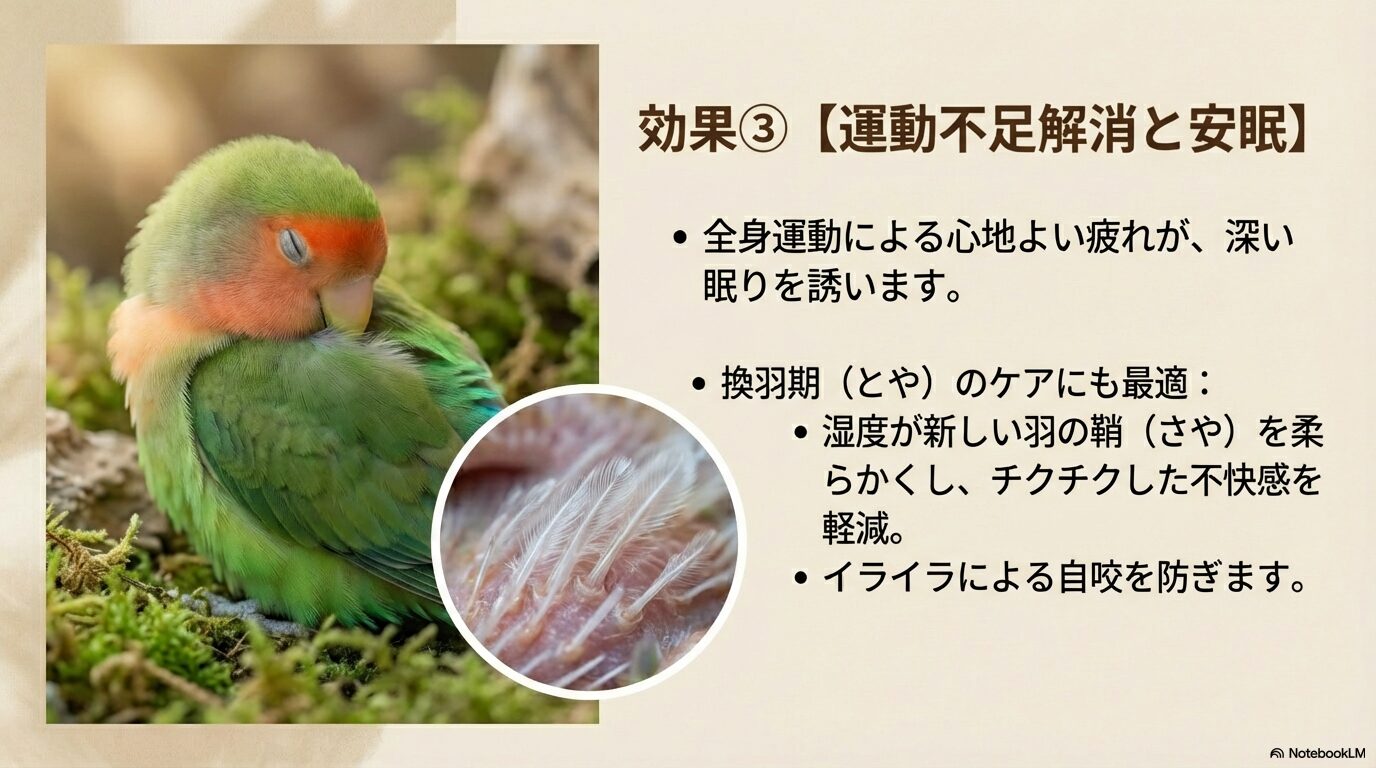 運動不足を解消して余剰エネルギーを安全に発散する