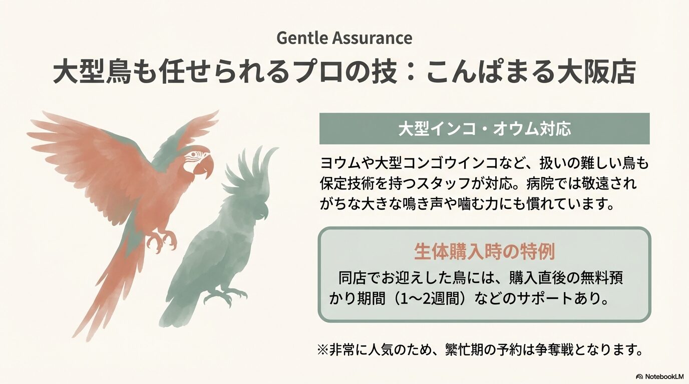 こんぱまる大阪店は大型インコも対応可能