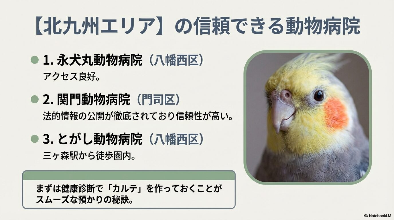 北九州エリアで鳥類診療が可能な永犬丸動物病院