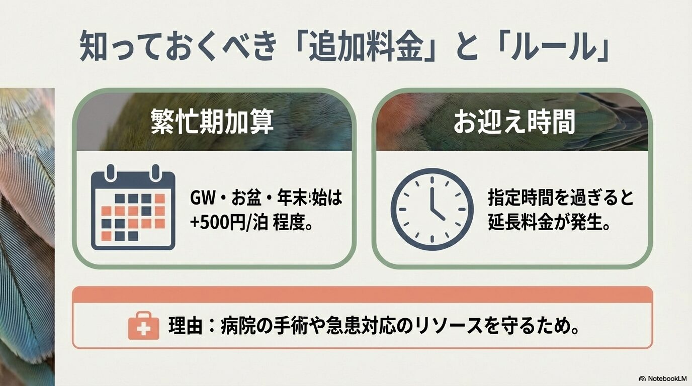 繁忙期の加算料金やチェックアウト時間の注意点