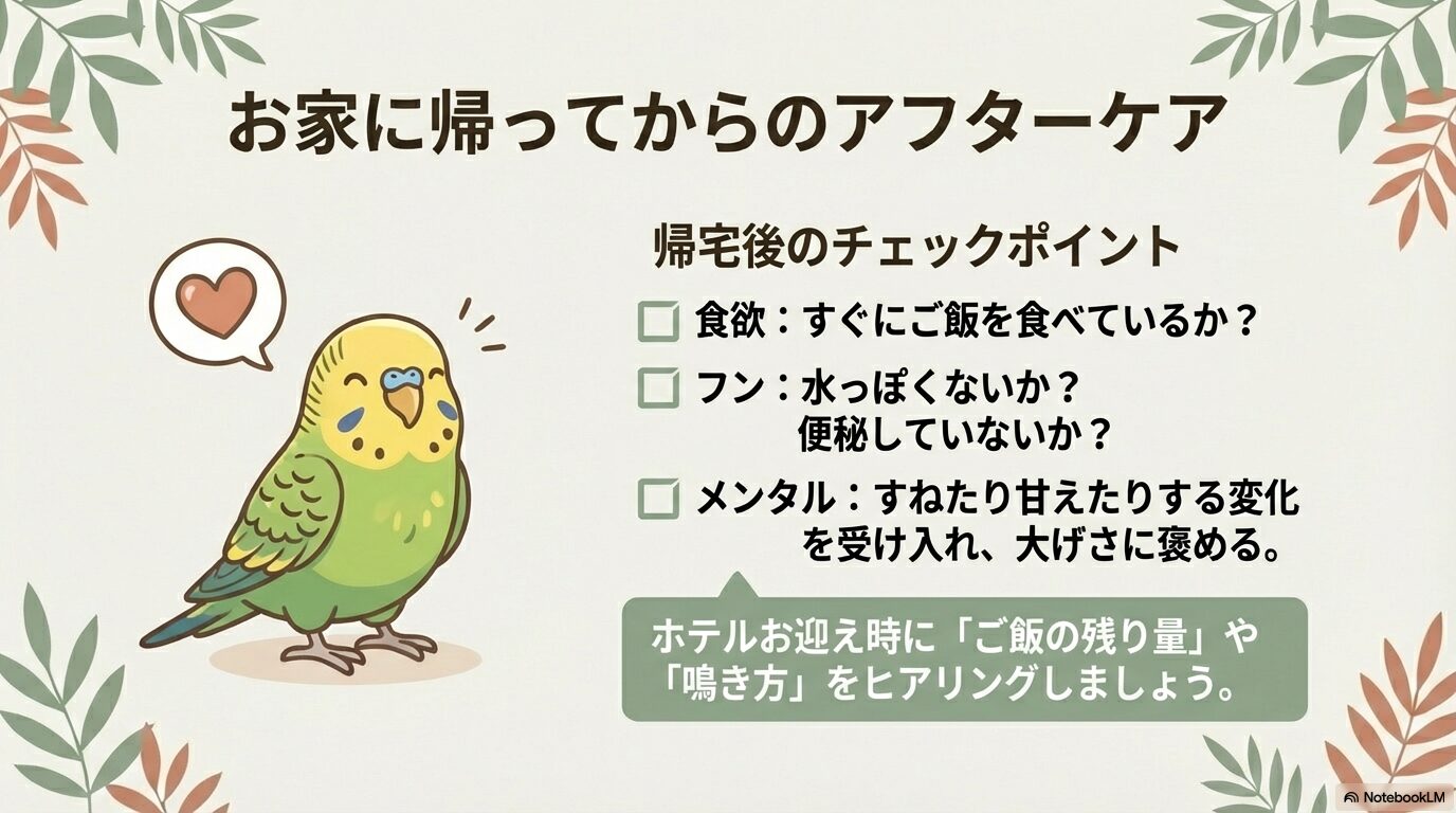 神戸のインコ向けペットホテル選びまとめ