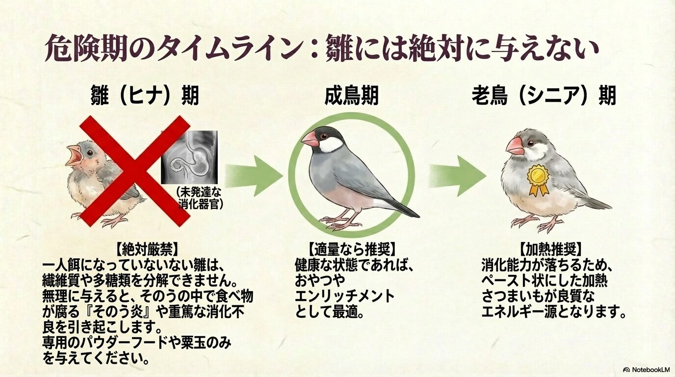 消化器が未発達な文鳥の雛への給与が禁忌な理由