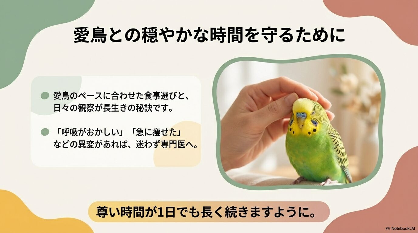 セキセイインコの老鳥におすすめの餌まとめ