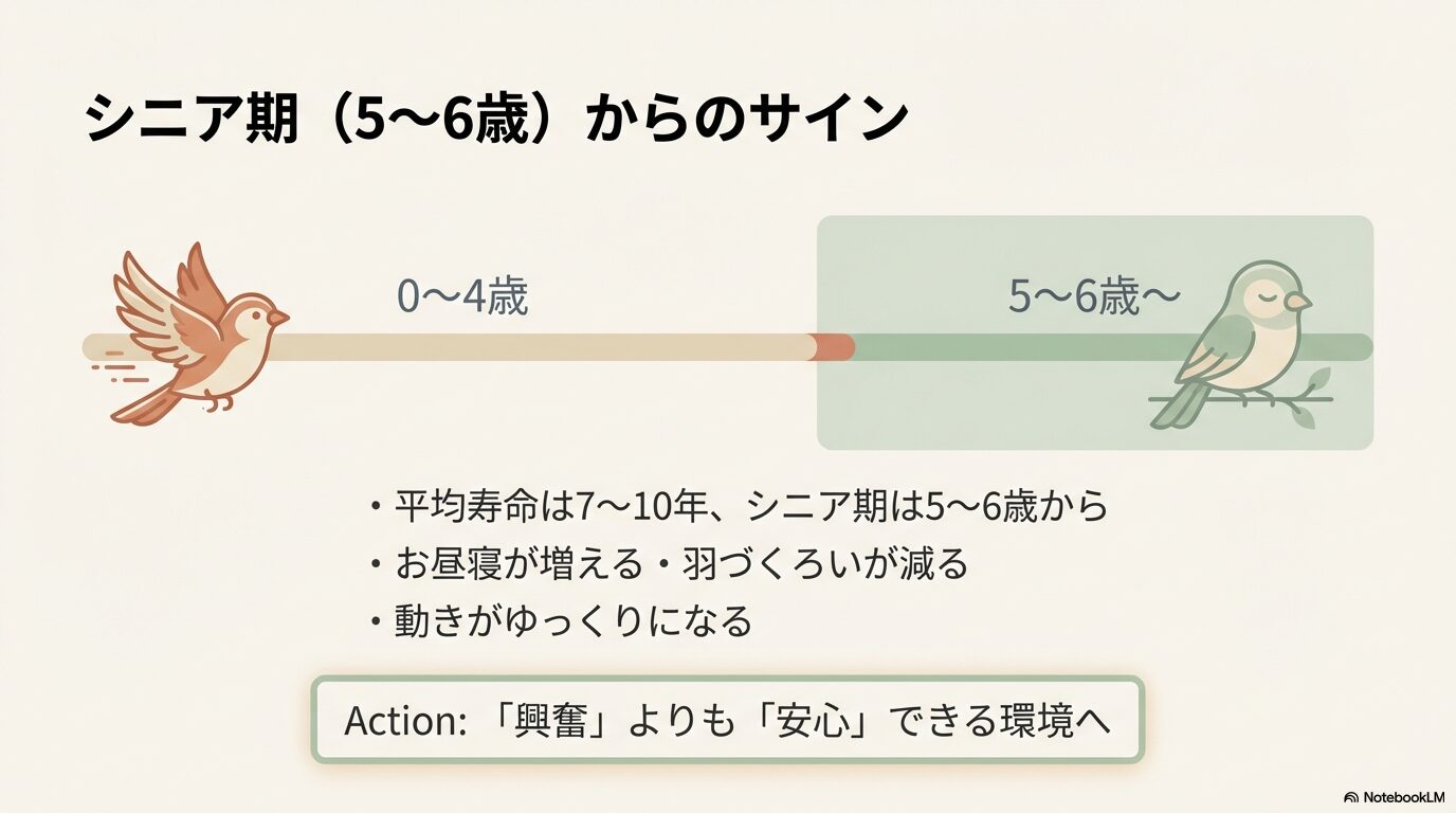 セキセイインコの老鳥向けケージの選び方