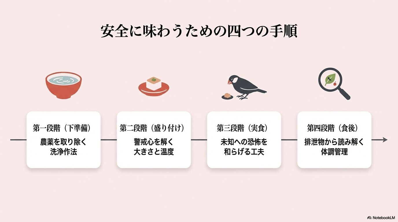 文鳥がいちごを食べても大丈夫？与え方の注意点