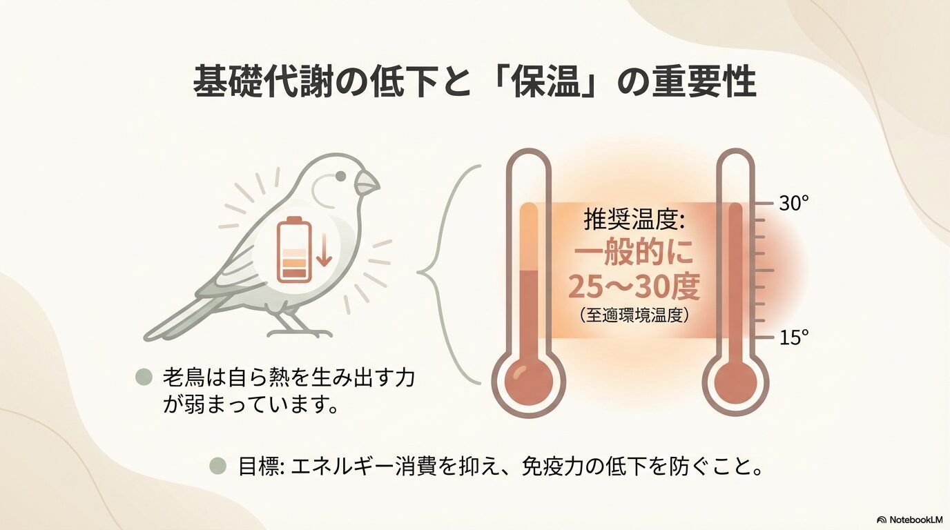 基礎代謝の低下と適切な温度設定