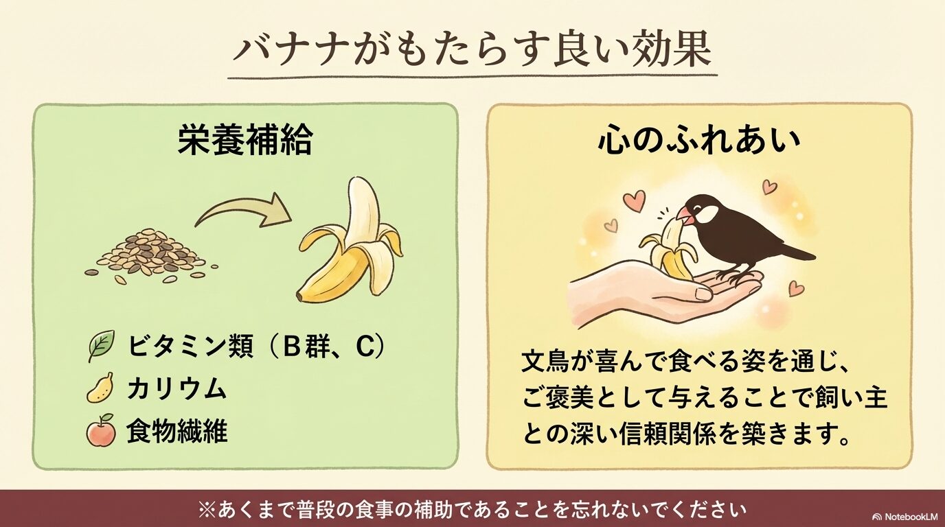 文鳥にバナナを与えるメリット