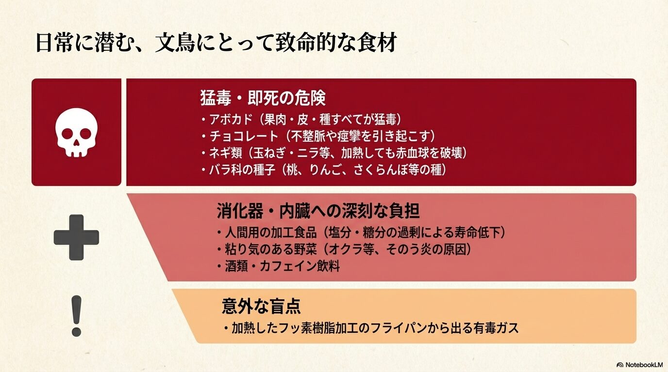 柿以外にも文鳥に危険な食べ物